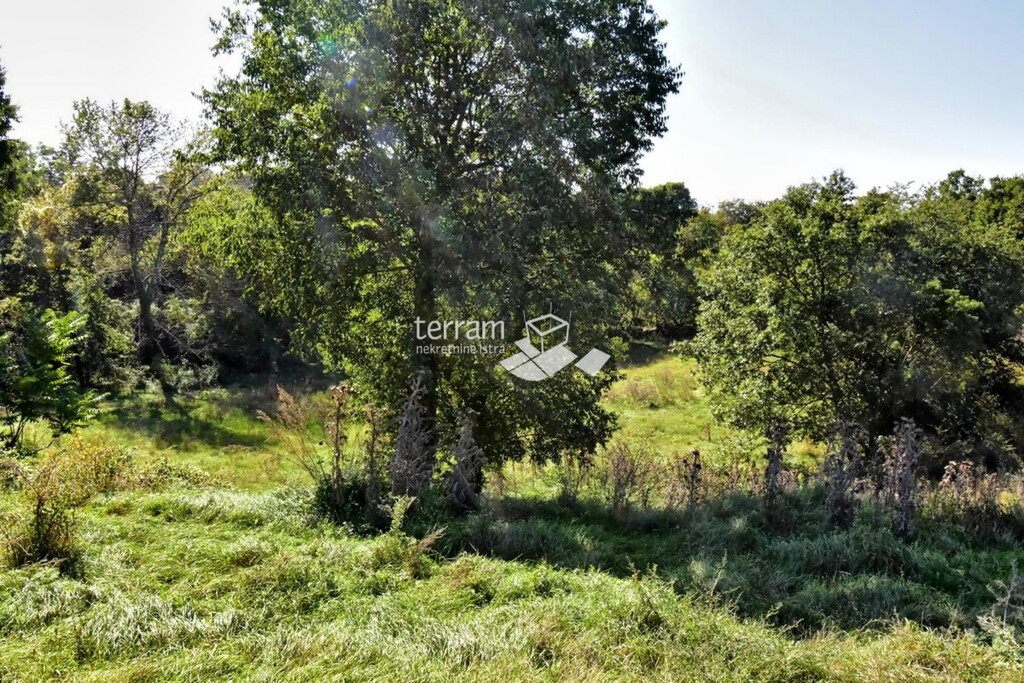 Image 6222362 - 2