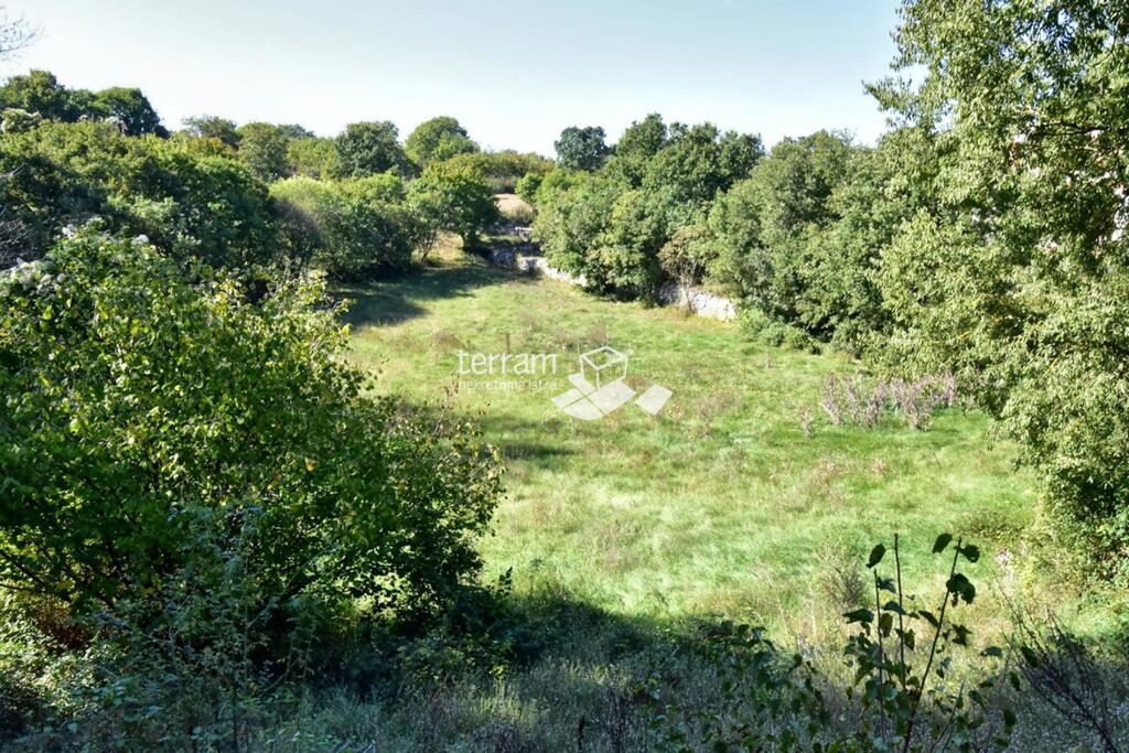 Image 6222362 - 6