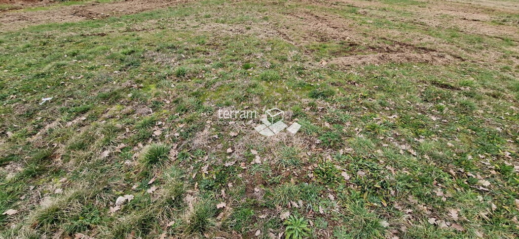 Image 6222366 - 1