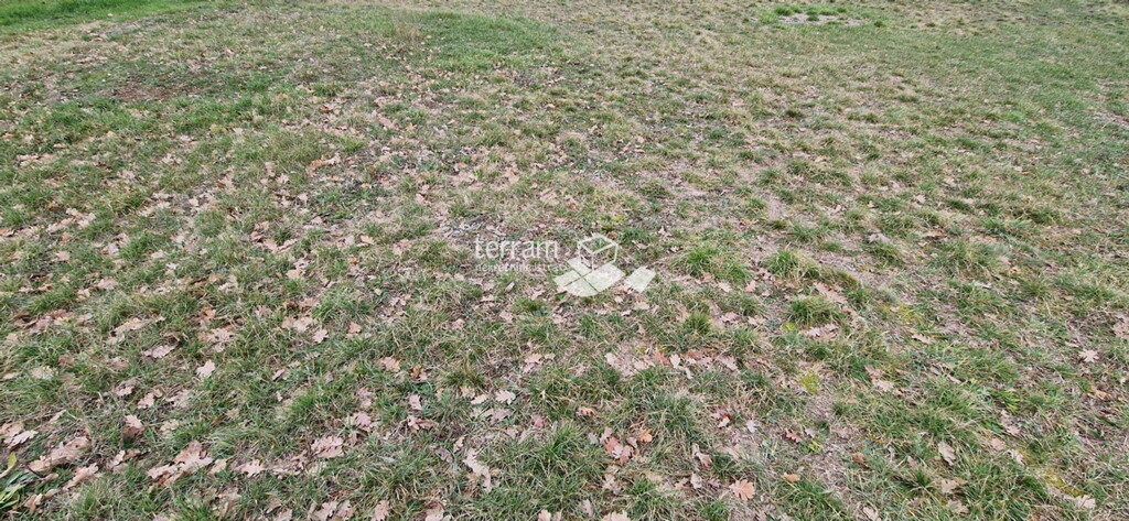 Image 6222368 - 7