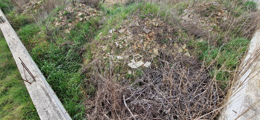 Image 6222371 - 11