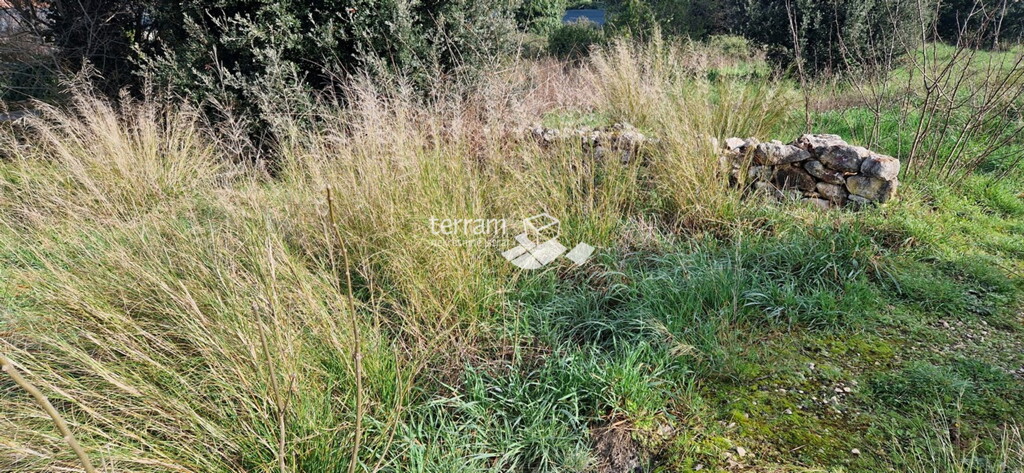 Image 6222372 - 9