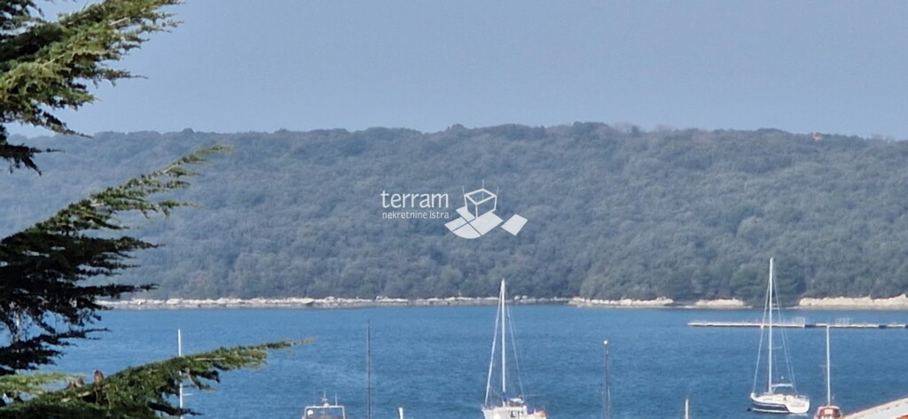 Image 6222372 - 1