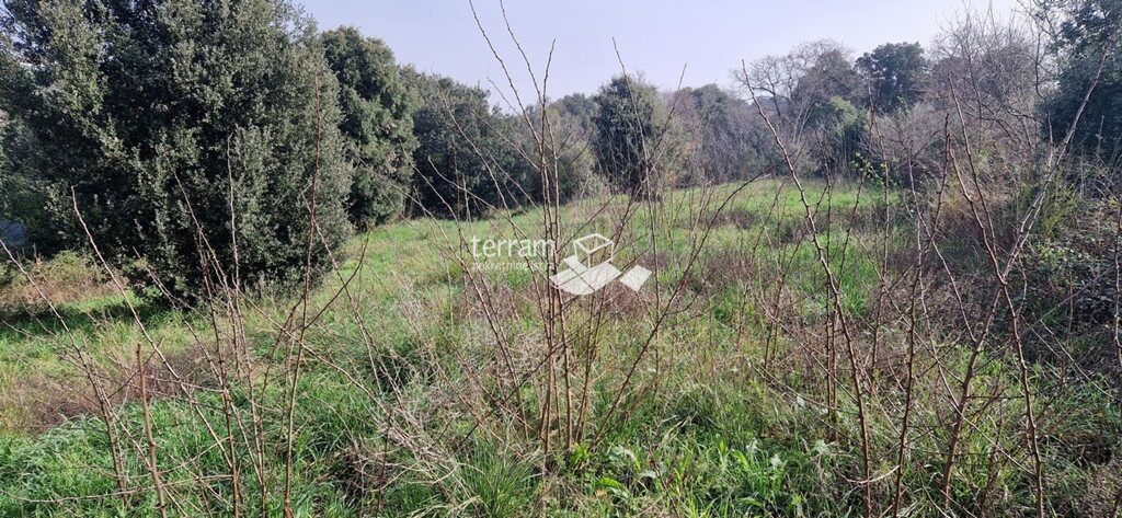 Image 6222372 - 10