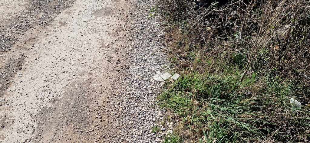 Image 6222375 - 6
