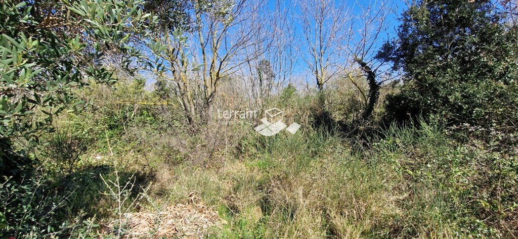 Image 6222375 - 1