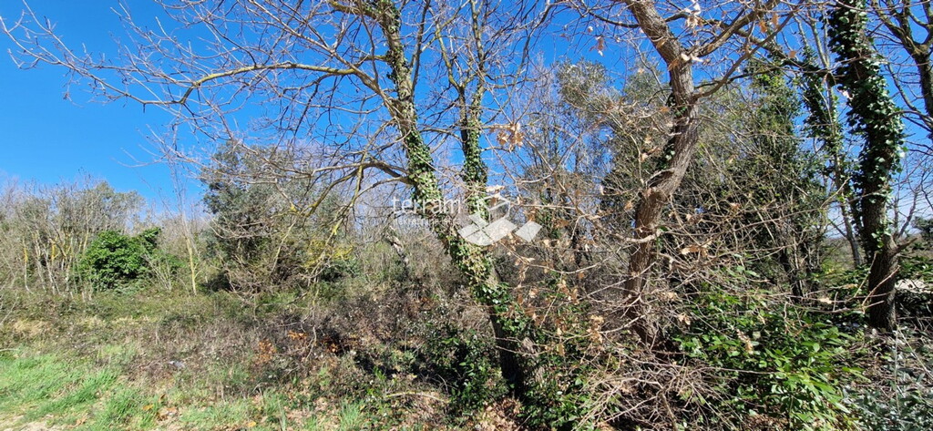 Image 6222375 - 2