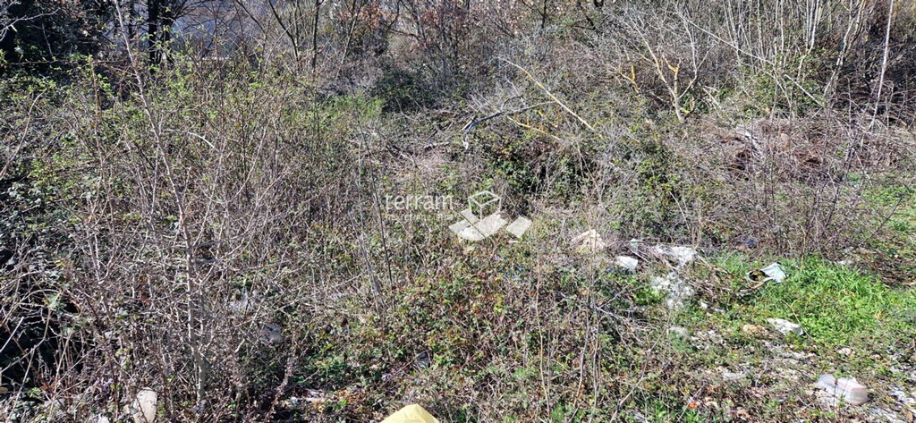 Image 6222375 - 5