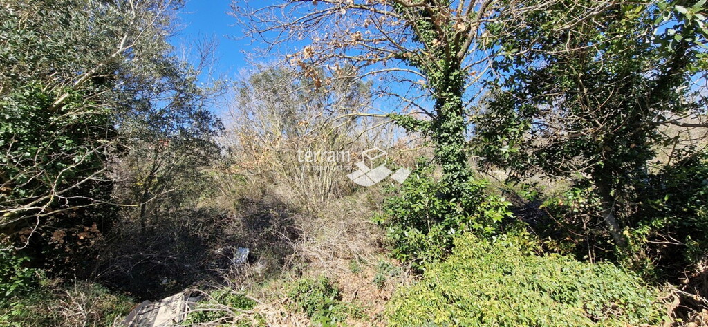 Image 6222375 - 4