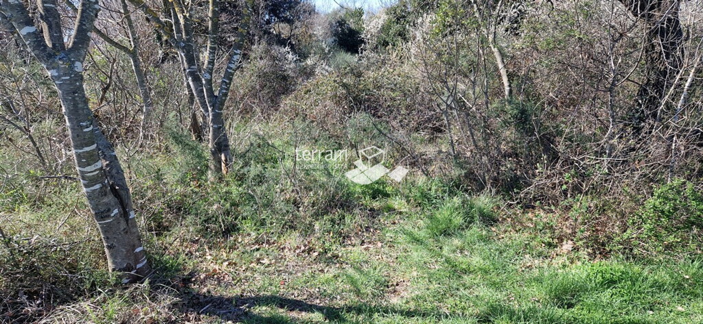 Image 6222375 - 7