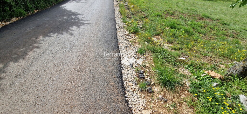 Image 6222382 - 7