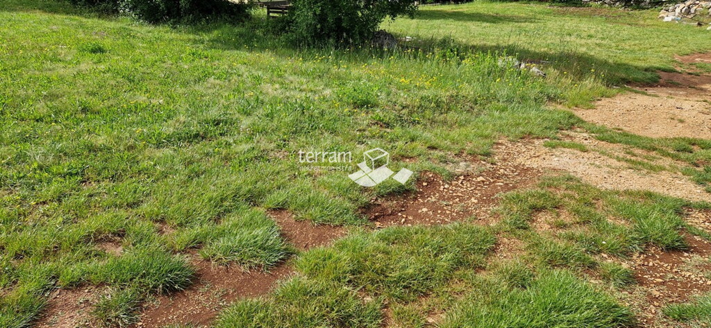 Image 6222382 - 5