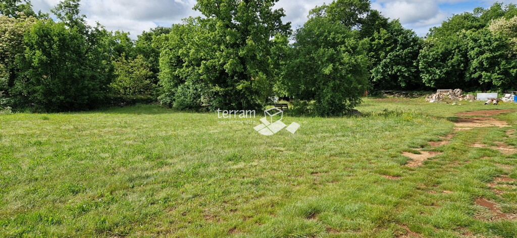 Image 6222382 - 4