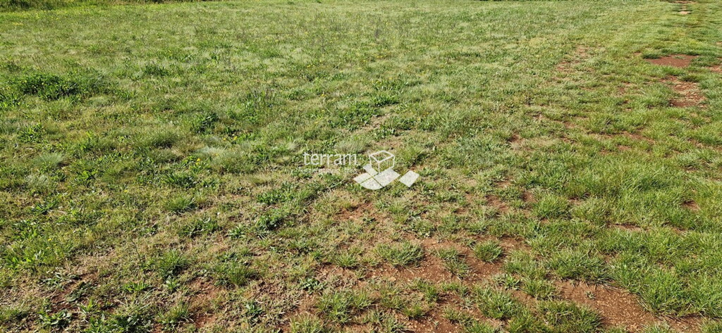 Image 6222382 - 3
