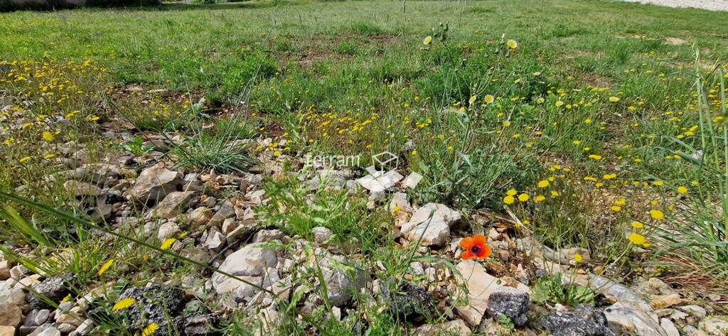 Image 6222382 - 1