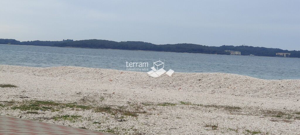 Image 6222387 - 1
