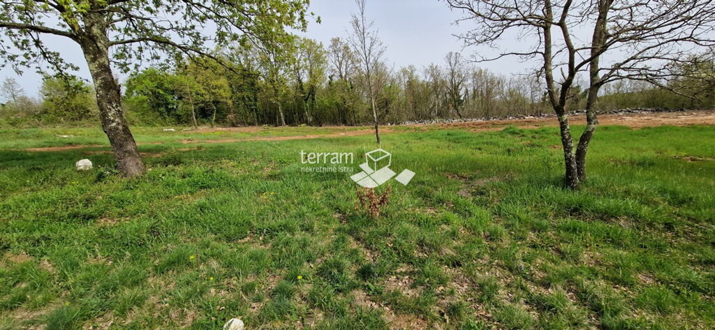 Image 6222391 - 4