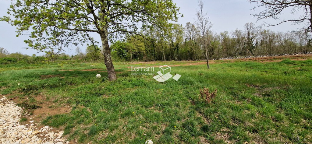 Image 6222392 - 5