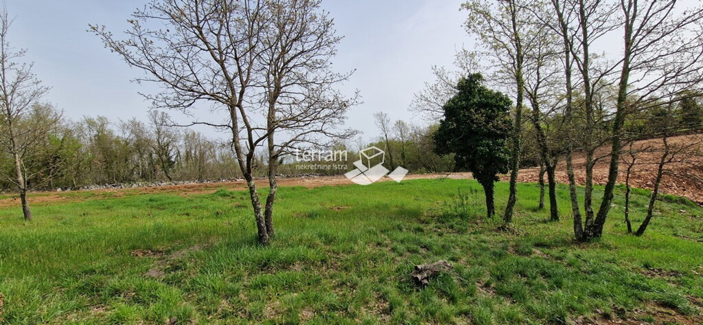 Image 6222392 - 4