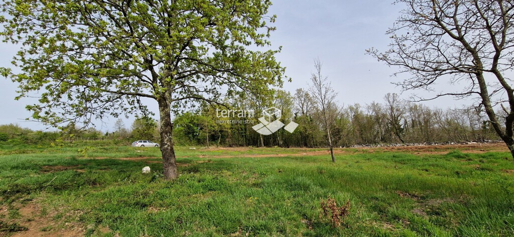 Image 6222392 - 3