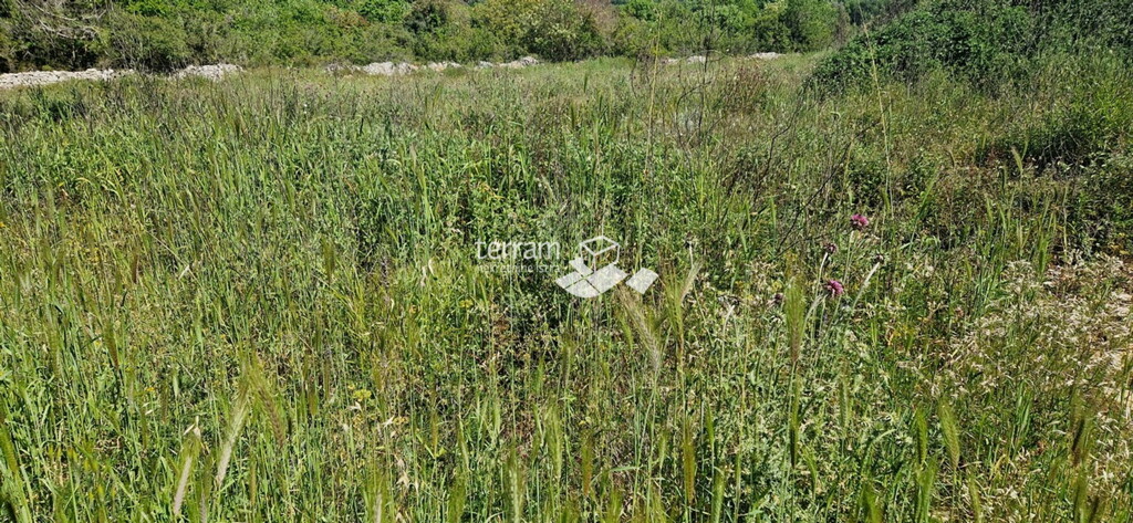 Image 6222393 - 4