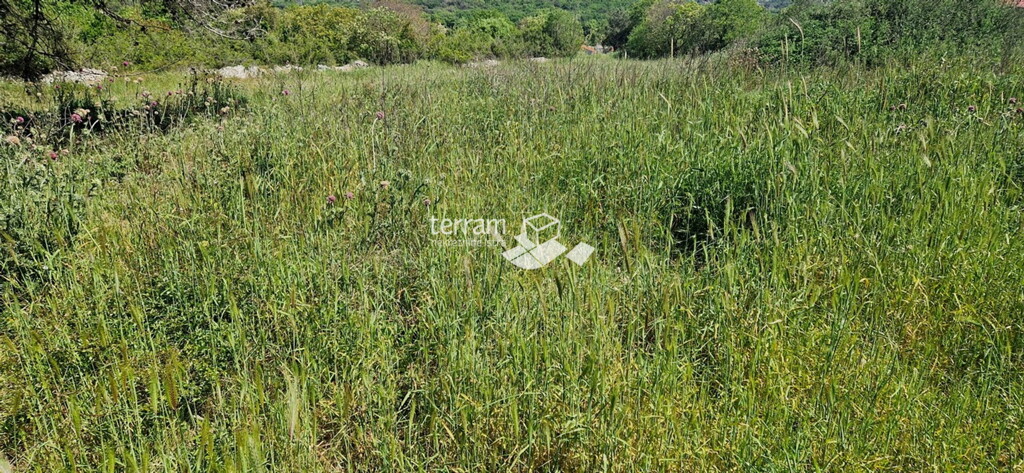 Image 6222396 - 3