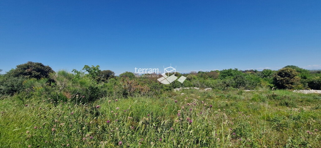 Image 6222396 - 2