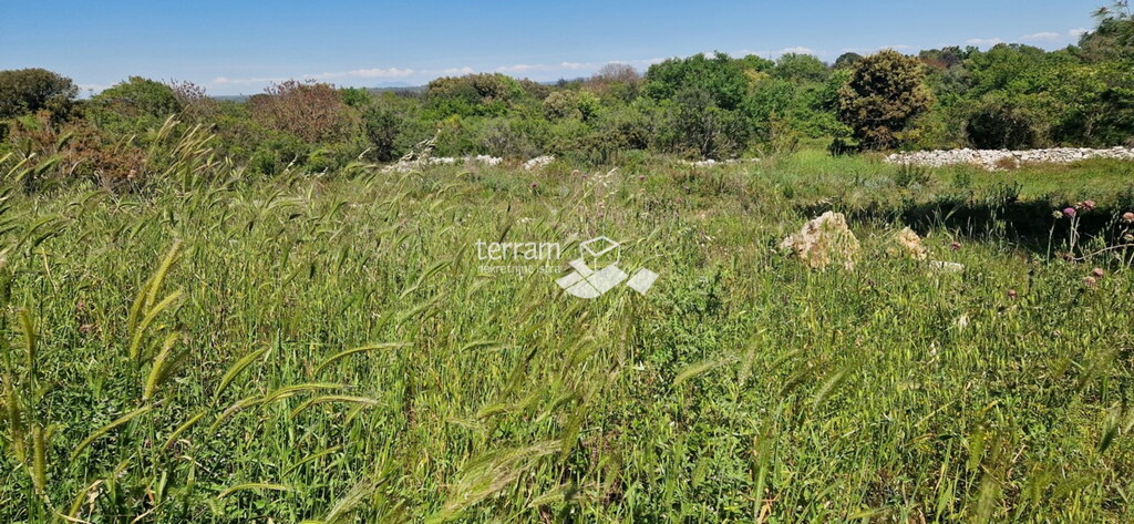 Image 6222396 - 1