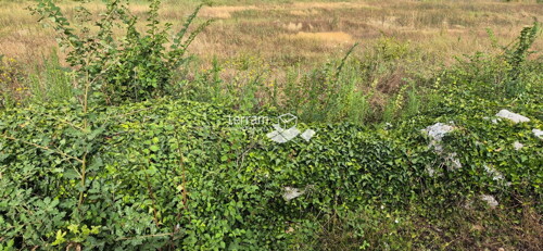 Thumbnail 6222402 - 7
