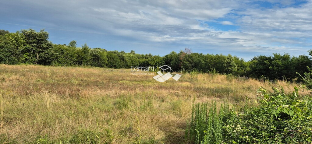 Image 6222402 - 1