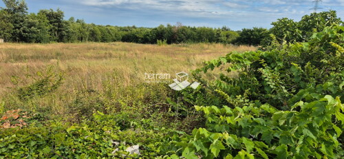Thumbnail 6222402 - 5