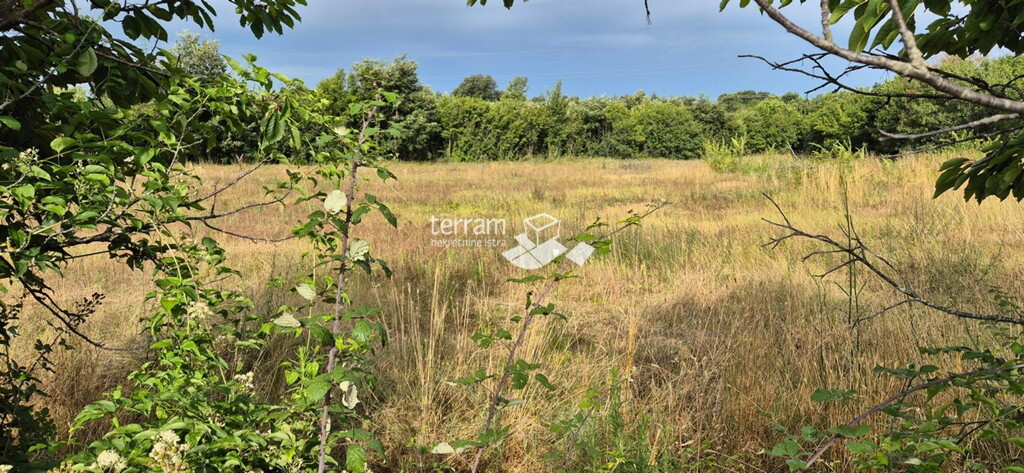 Image 6222402 - 3