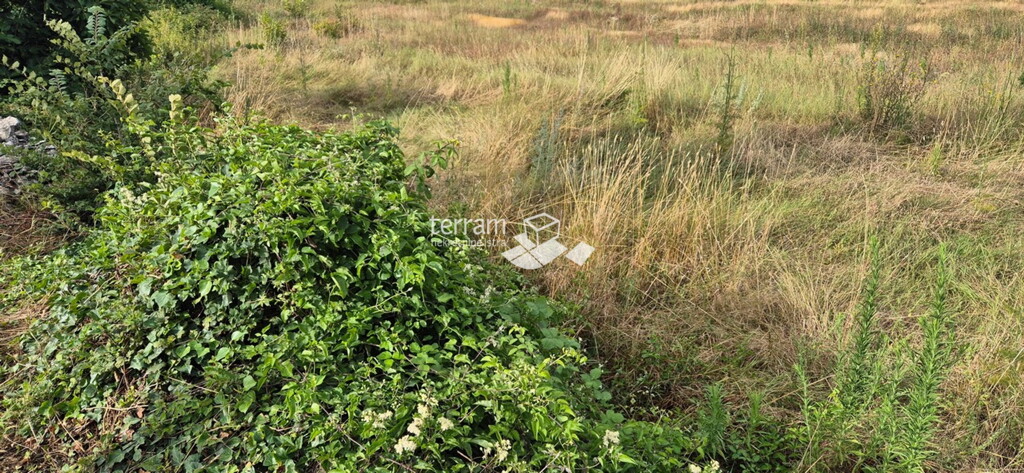 Image 6222402 - 2