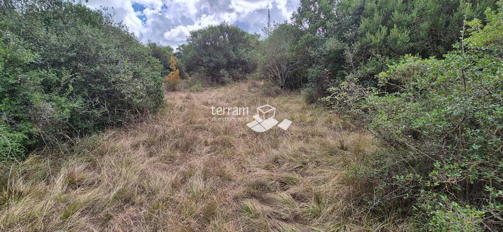 Image 6222404 - 4