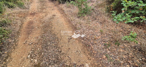 Thumbnail 6222404 - 5