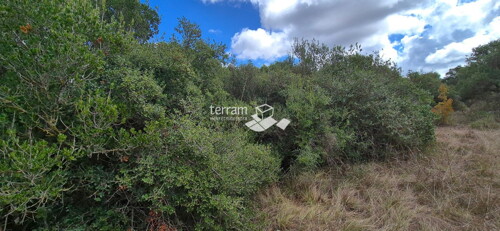 Thumbnail 6222404 - 3