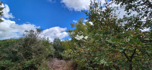 Thumbnail 6222404 - 1