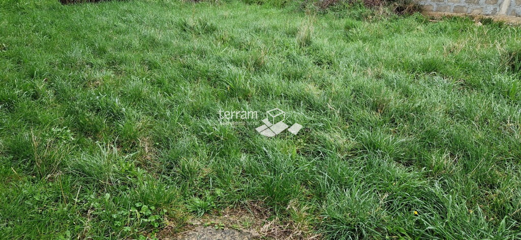 Image 6222409 - 2