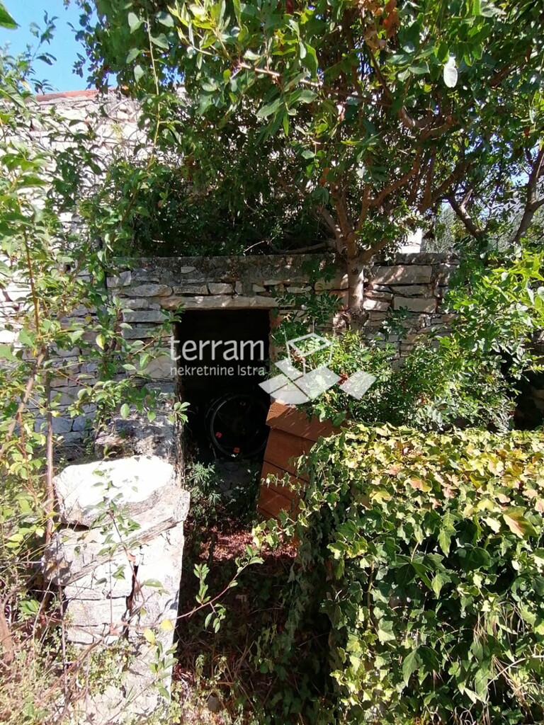 Image 6222409 - 20