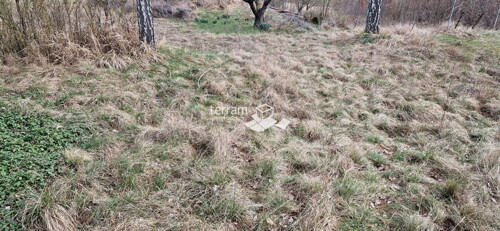 Thumbnail 6222411 - 3