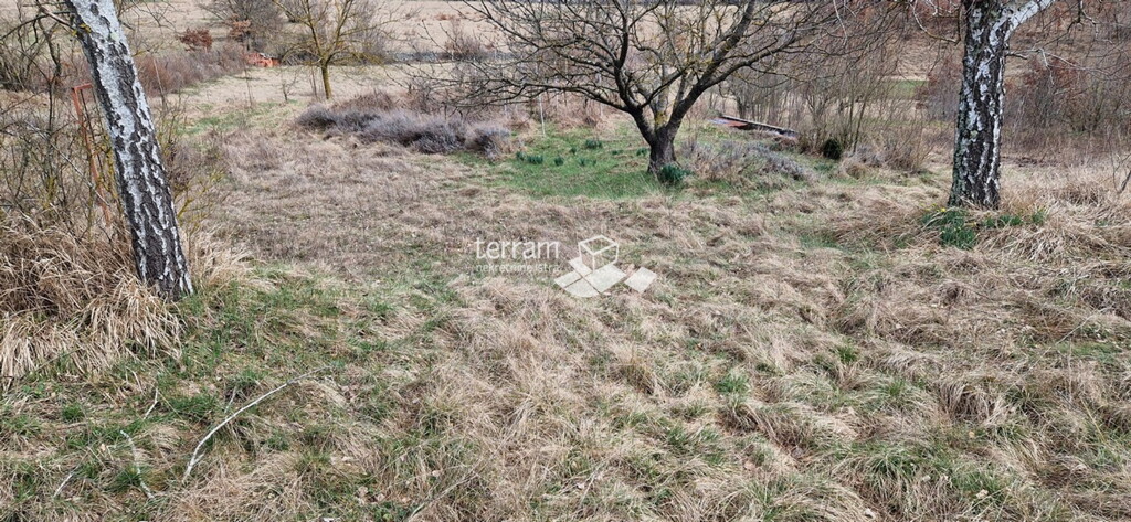 Image 6222411 - 4