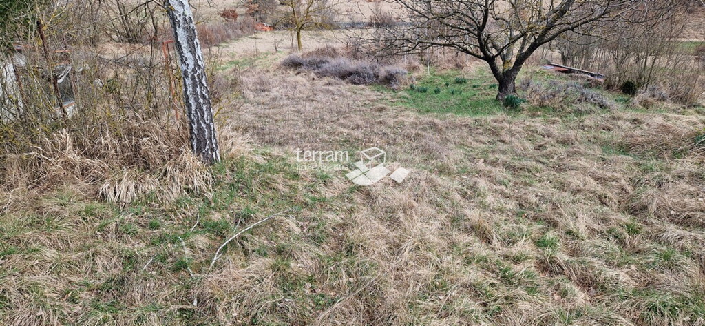Image 6222411 - 5