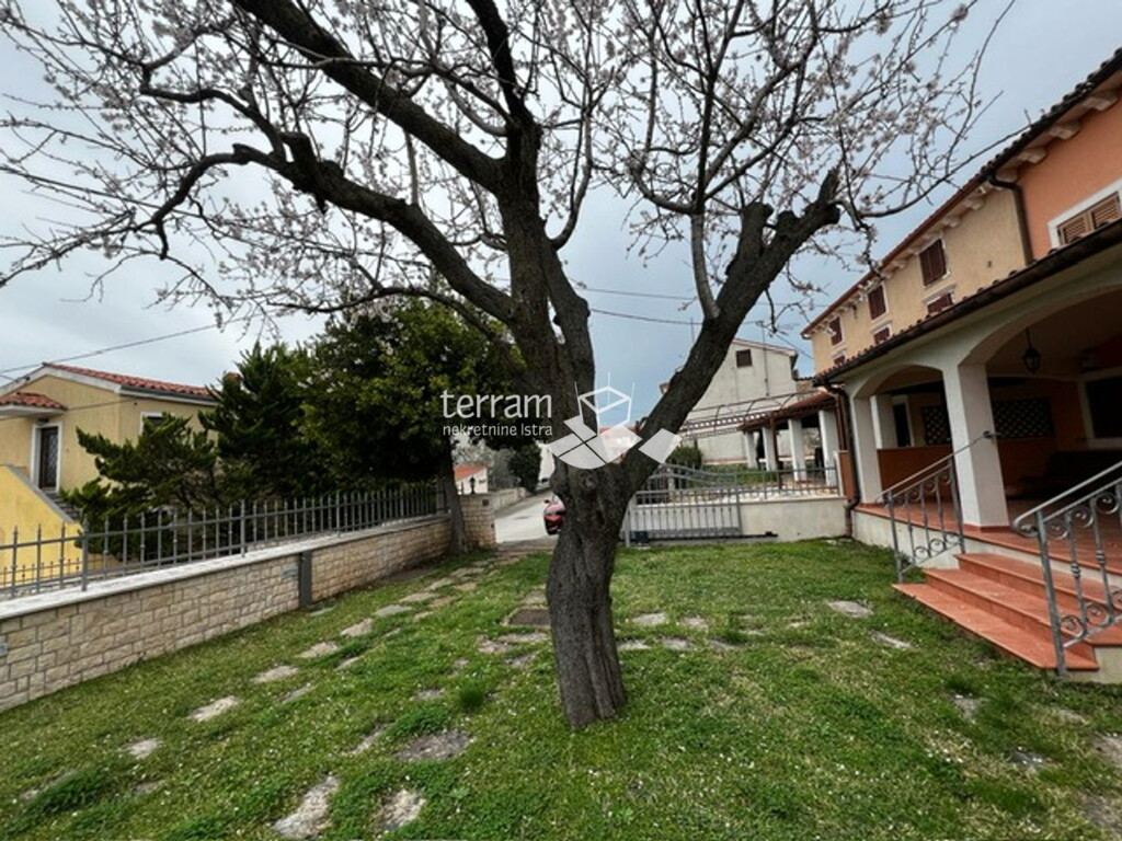 Image 6222413 - 5