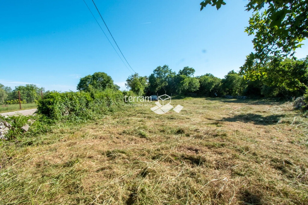 Image 6222419 - 4