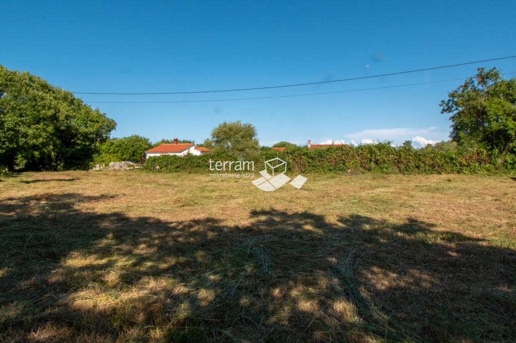 Image 6222419 - 6