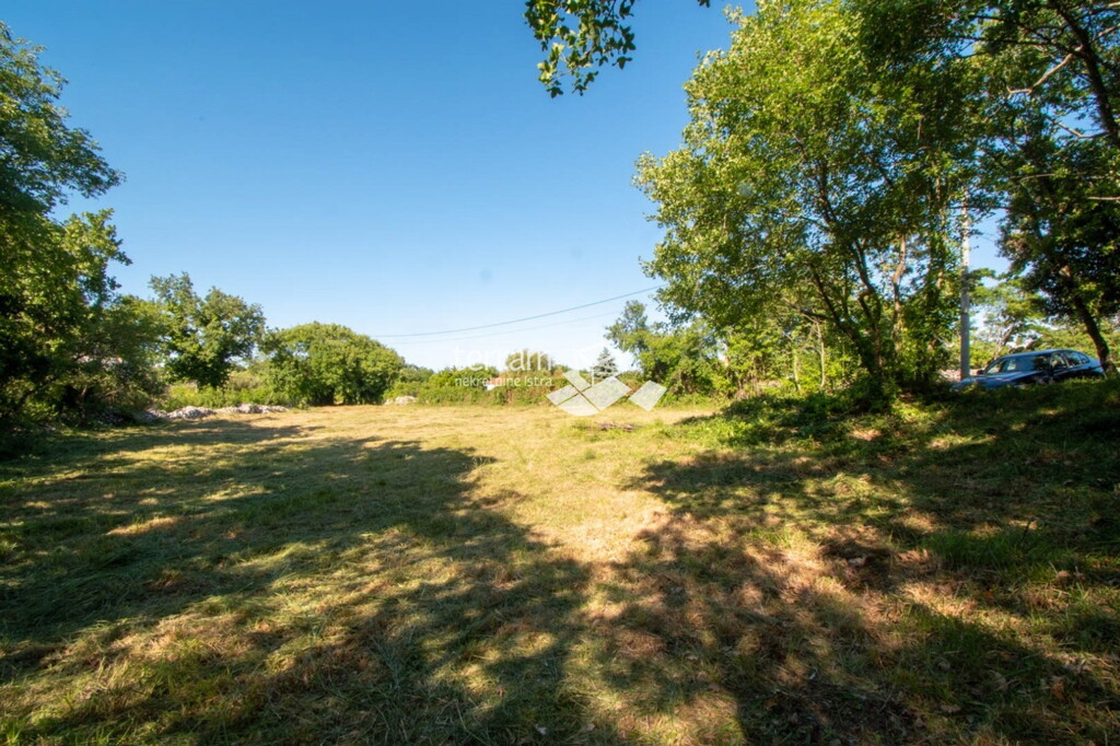 Image 6222419 - 7