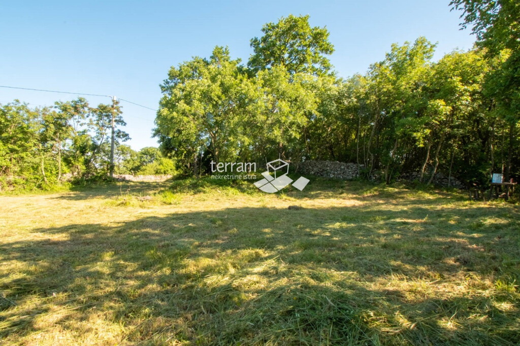 Image 6222419 - 5