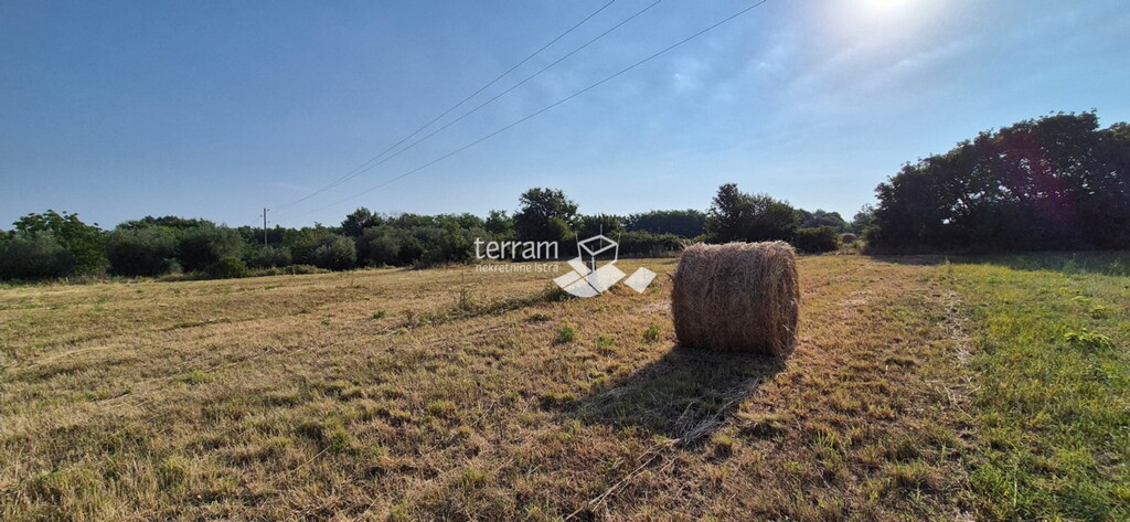 Image 6222425 - 3