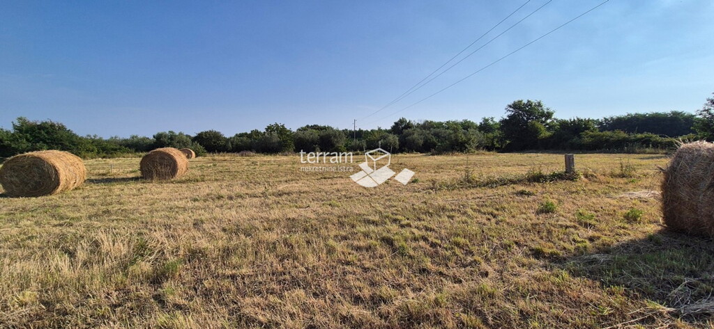 Image 6222425 - 4