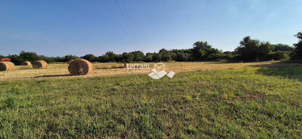 Image 6222425 - 2